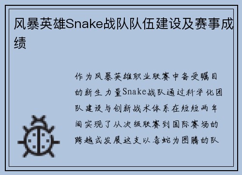 风暴英雄Snake战队队伍建设及赛事成绩